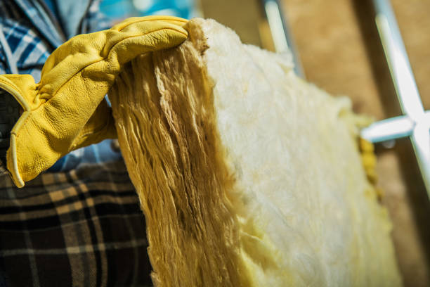 Best Insulation Maintenance and Repair in Fort Oglethorpe, GA