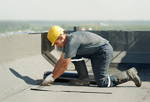 Best Geographic-Specific Insulation Services in Fort Oglethorpe, GA